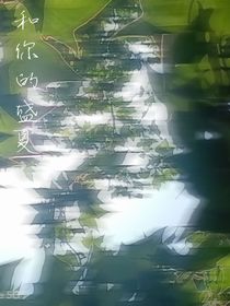 和你的盛夏