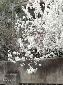 现代诗歌集