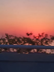 青春：微风拂过银杏