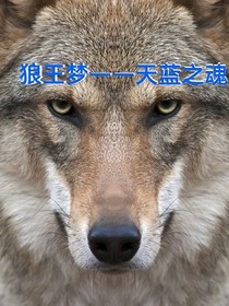狼王夢(mèng)——天藍(lán)之魂