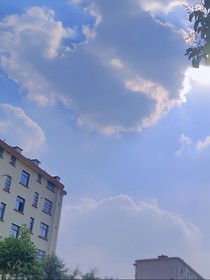 缘故情-d334