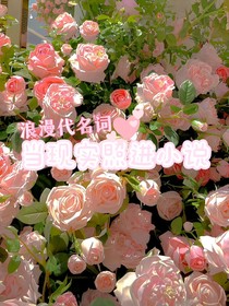 浪漫代名词：当现实照进小说