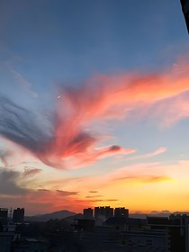 秀兰