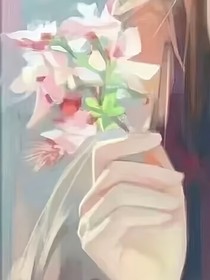 洒满星星的夜