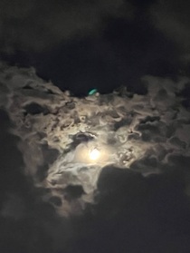喂，你挺能打