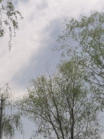 凹凸：姐姐一直在