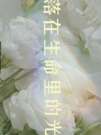 落入生命的光