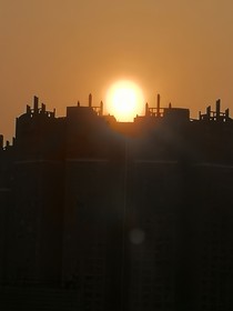 槐树下的遗憾