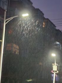 寄给你的花