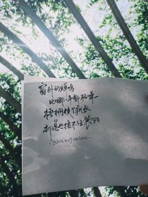 初秋银杏