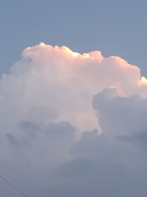 喜歡向日葵的他