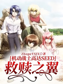 机动战士高达SEED：救赎之翼