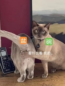文軒：絕對命中