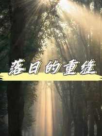 TF三代：落日的重逢