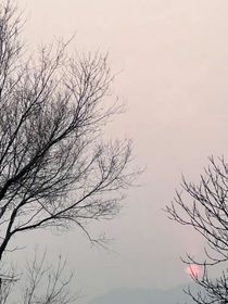 想法引起的短篇（王俊凱）