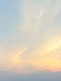 塵歡深許