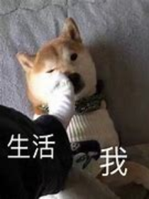 怎么会有ABO这种东西？