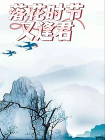 和亲公主：落花时节又逢君（气泡版）