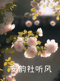 安韵社听风