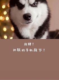本阿飘来了