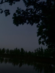膚淺的膽小鬼