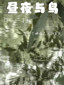 白昼与鸟