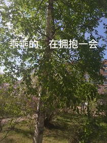 乖乖的，在擁抱一會(huì)