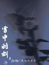 雪中的剑