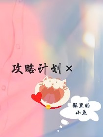 攻略计划X