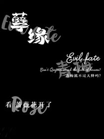 孽缘Evilfate