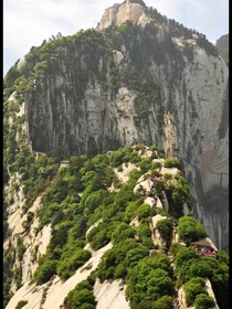诗人李朝柱