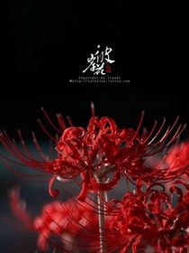 相思彼岸