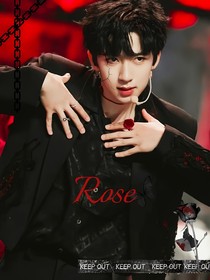 TNT：Rose……