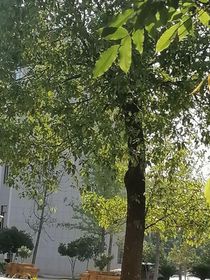 遗憾无名
