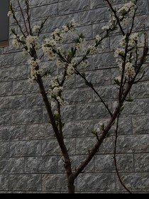 真相與揭發(fā)