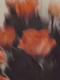 时时以乐
