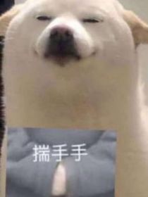 猫之茗之龙