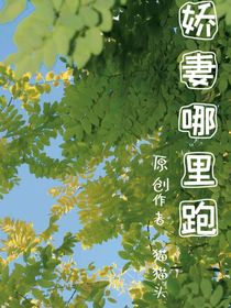 娇妻哪里跑！！
