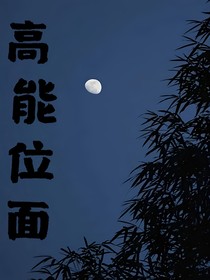 高能位面-d939