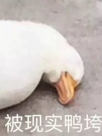 來聽張三的故事