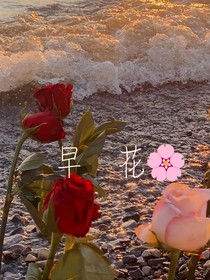 早花