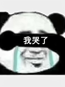 求求看我