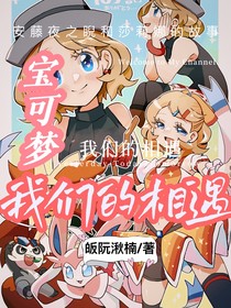 寶可夢：我們的相遇