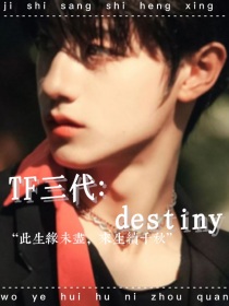 TF三代：destiny