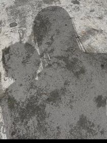 穿越原神之我成為了XX