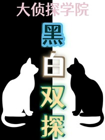 大侦探学院：黑白双探