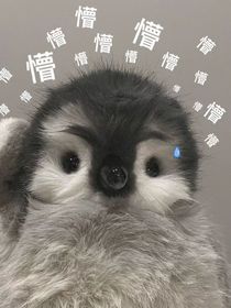 all邓，小孩不好哄