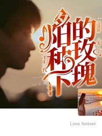 TF三代：夕阳种下的玫瑰