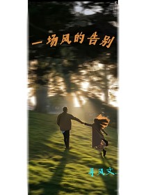 一场风的告别