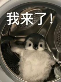 危險(xiǎn)條約……